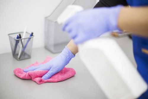 Carpet treatment for pet stain odour removal in Beckenham