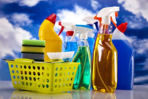 Carpet cleaning team using responsible recycling and waste sorting practices in Beckenham