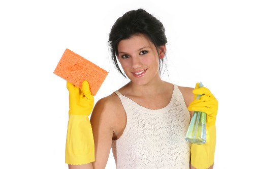 Carpet cleaning professional preparing safe equipment