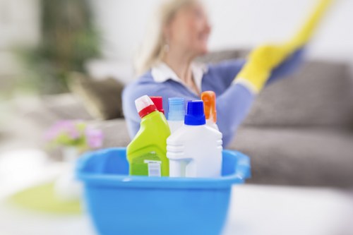 Enzyme cleaning for pet urine odour on upholstery