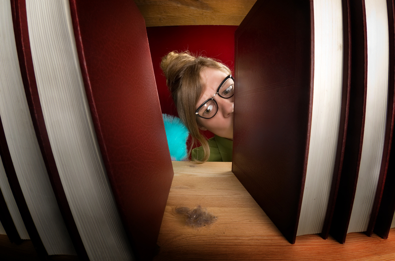 carpet cleaning upholstery cleaning